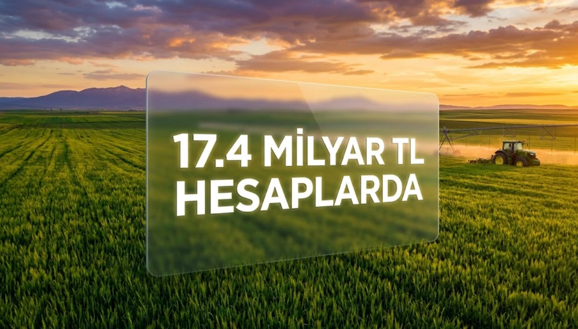 Çiftçiye müjde: 17,4 Milyar liralık tarımsal destek hesaplarda!